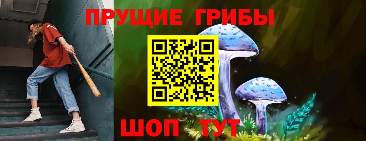 Азнакаево  Галлюциногенные грибы мицелий  продажа наркотиков  Вход с VPN  Псилоцибиновые грибы GOLDEN TEACHER 