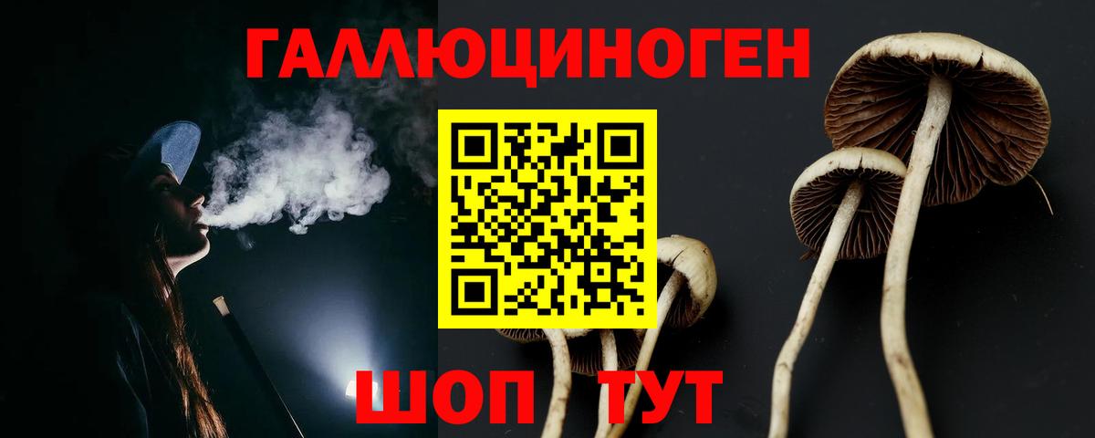Галлюциногенные грибы прущие грибы Азнакаево